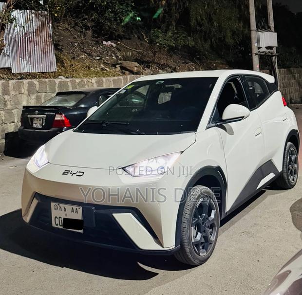 BYD Seagull 2025 White