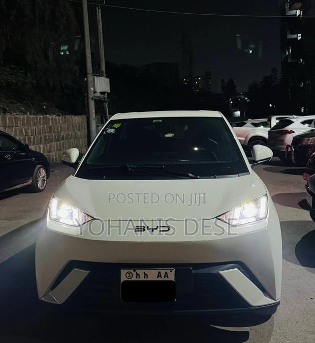 BYD Seagull 2025 White