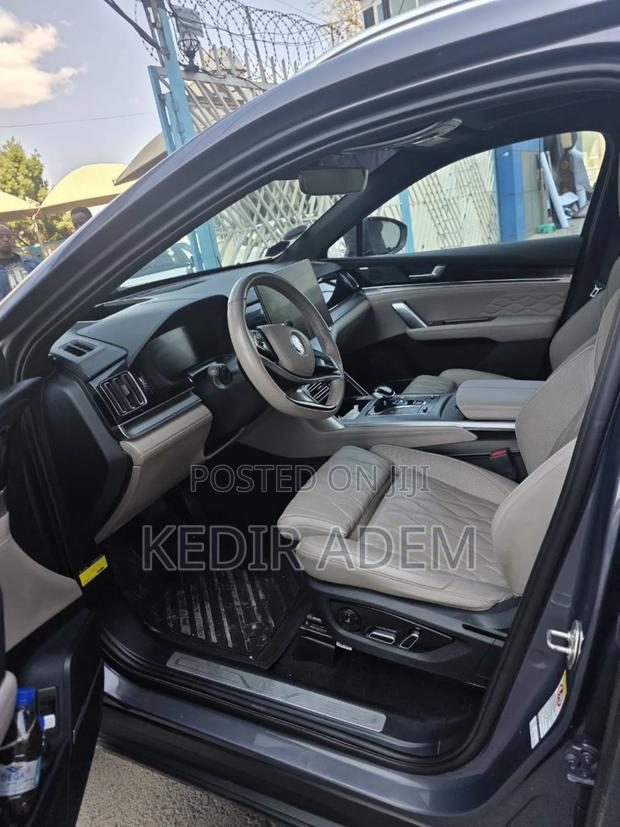 BYD Tang DM-i 2024 Gray