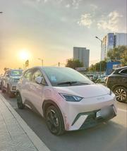 BYD Seagull 2025 Pink for sale