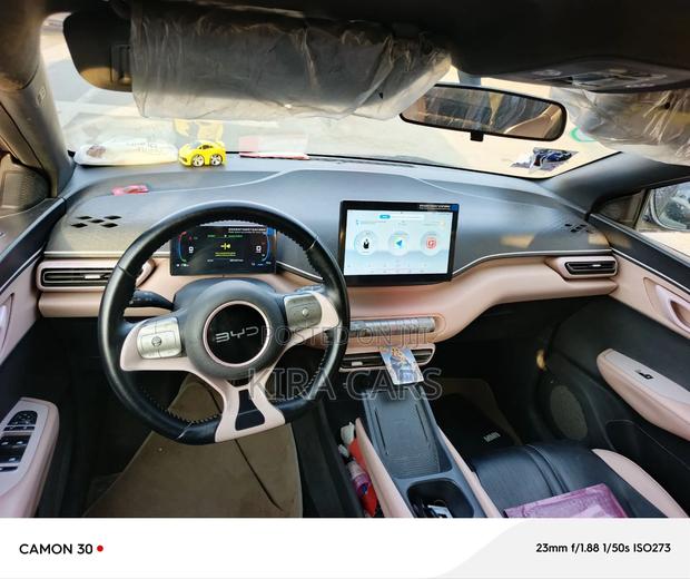 BYD Seagull 2025 Pink