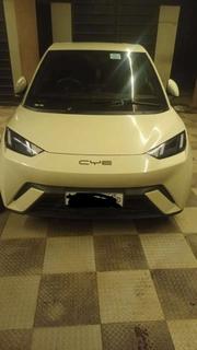 BYD Seagull 2024 White for sale