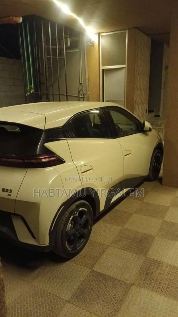 BYD Seagull 2024 White