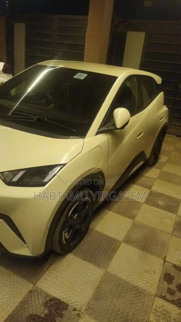 BYD Seagull 2024 White