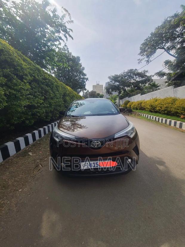 Toyota C-HR 2017 Brown
