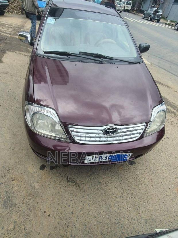 Toyota Corolla 2004 Purple