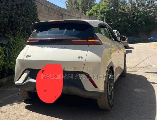 BYD Seagull 2024 White