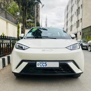 BYD Seagull 2024 White for sale