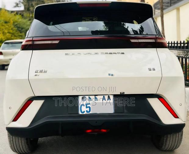 BYD Seagull 2024