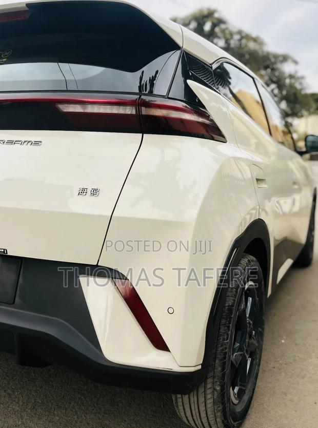 BYD Seagull 2024