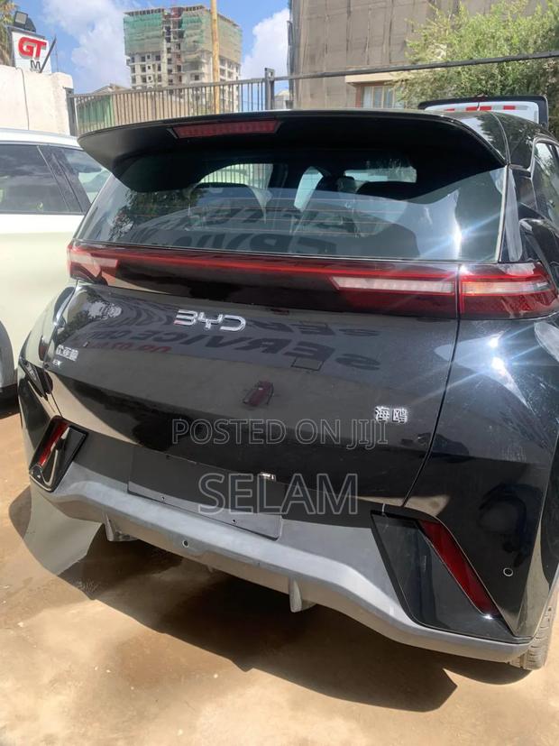 New BYD Seagull 2025 White