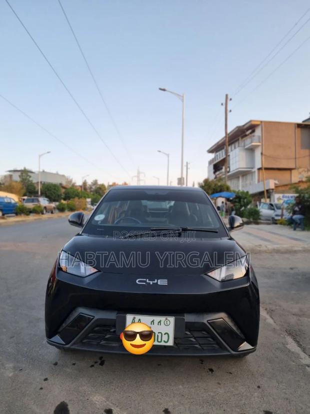 BYD Seagull 2024 Black