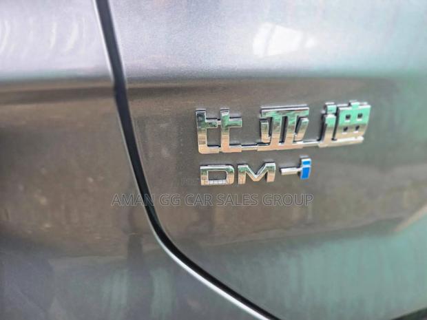 New BYD Song Plus 2025 Gray