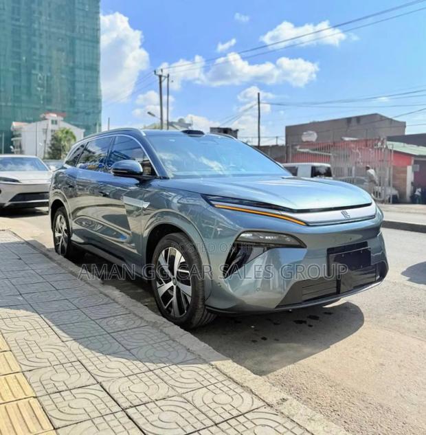 New BYD Song Plus 2025 Purple
