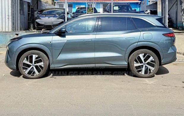 New BYD Song Plus 2025 Purple