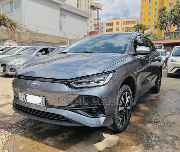New BYD E2 43 kWh 94 hp FWD 2024 Gray