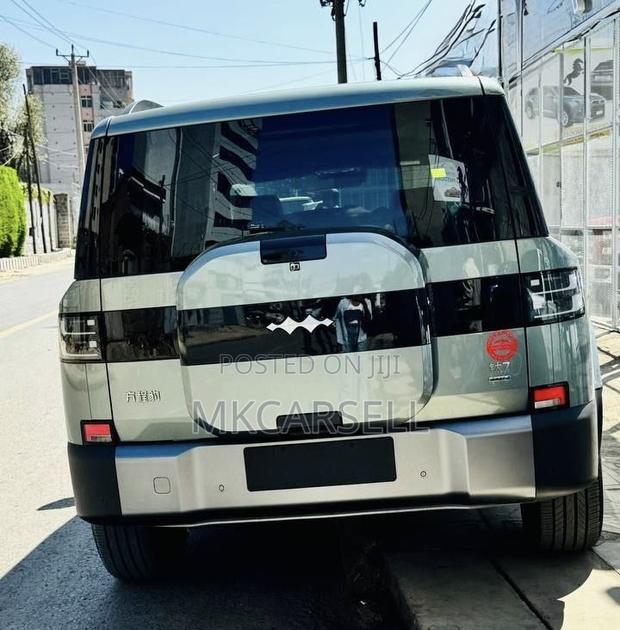New BYD Leopard 7 2025 Green