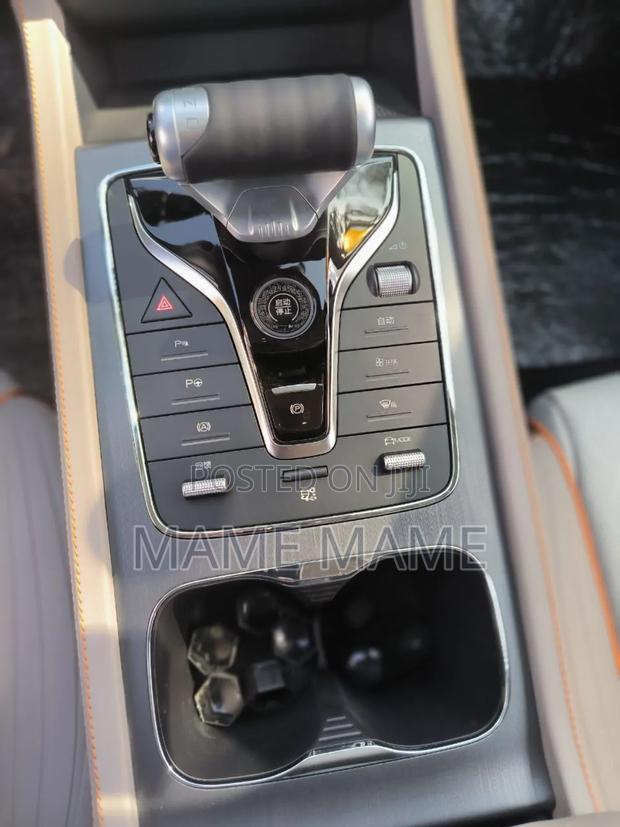 New BYD Yuan Plus 2025 Gray