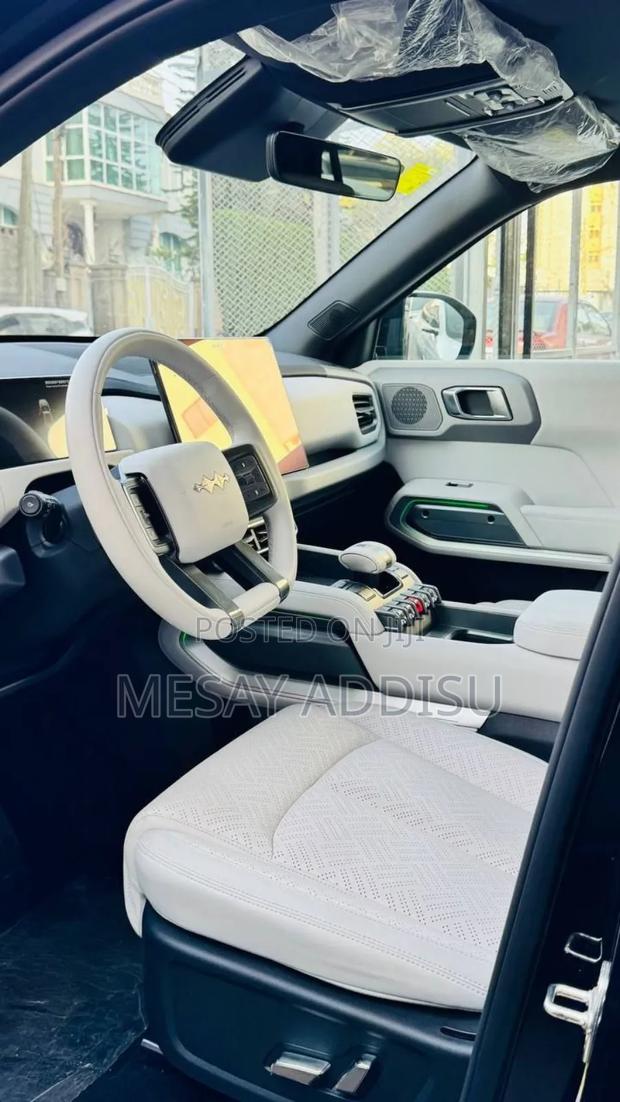 New BYD Leopard 3 2025 Black