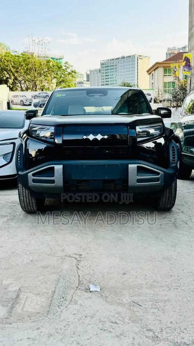 New BYD Leopard 3 2025 Black