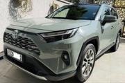 Toyota RAV4 2023 Gray for sale