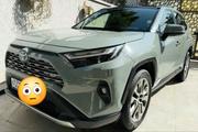 Toyota RAV4 2024 Gray for sale