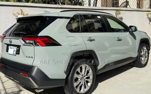 Toyota RAV4 2024 Gray