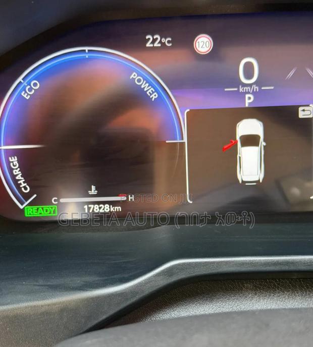 Toyota RAV4 2024 Gray