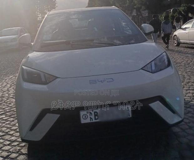 BYD Seagull 38 kWh FWD 2024 White