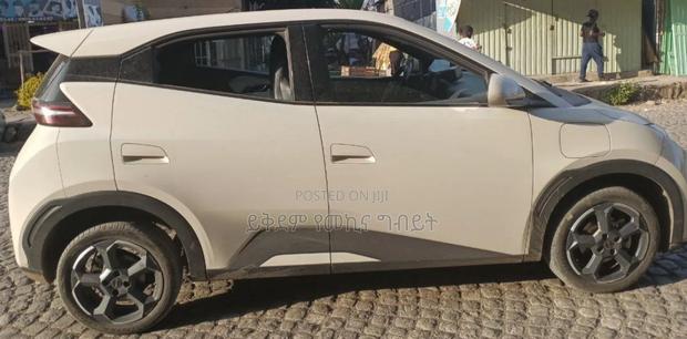 BYD Seagull 38 kWh FWD 2024 White