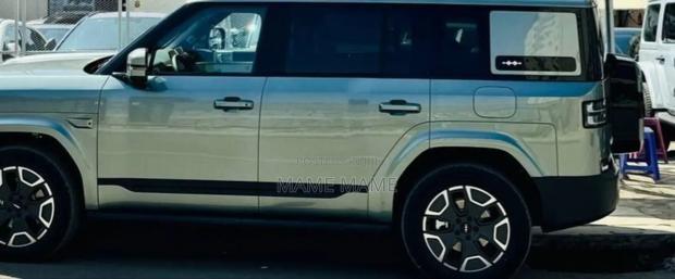 New BYD Leopard 7 2025 Gray