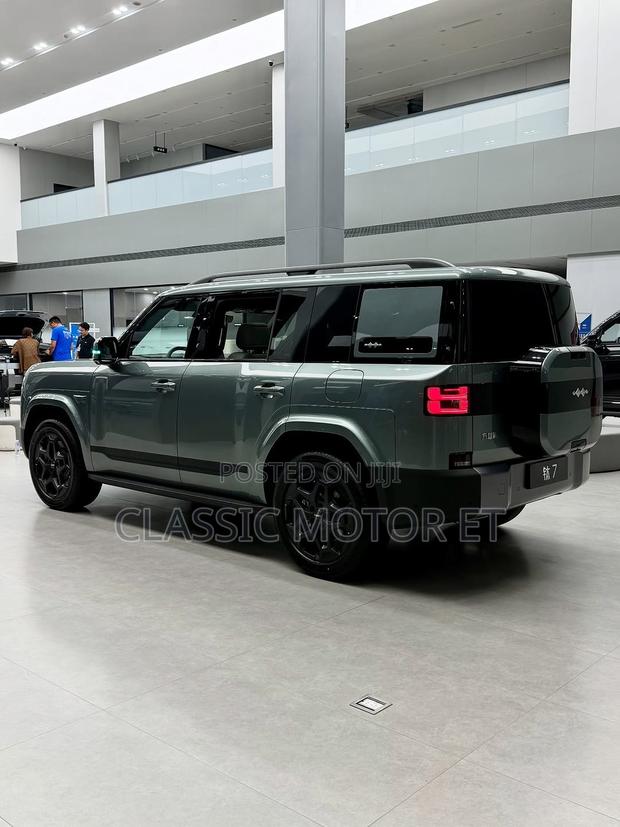 New BYD Leopard 7 2025 Green