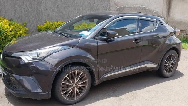 Toyota C-HR 2019 Maroon