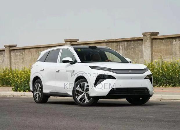 New BYD Tang DM-i 2025 White