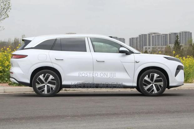 New BYD Tang DM-i 2025 White