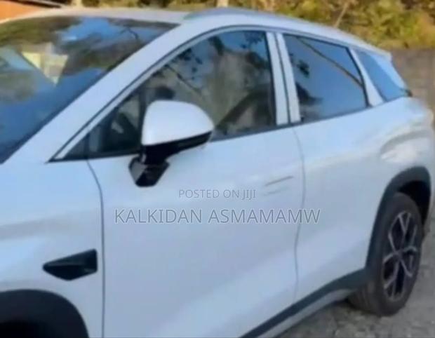 New BYD Tang DM-i 2025 White