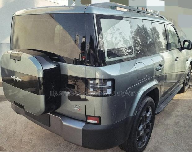 New BYD Leopard 7 2025 Green
