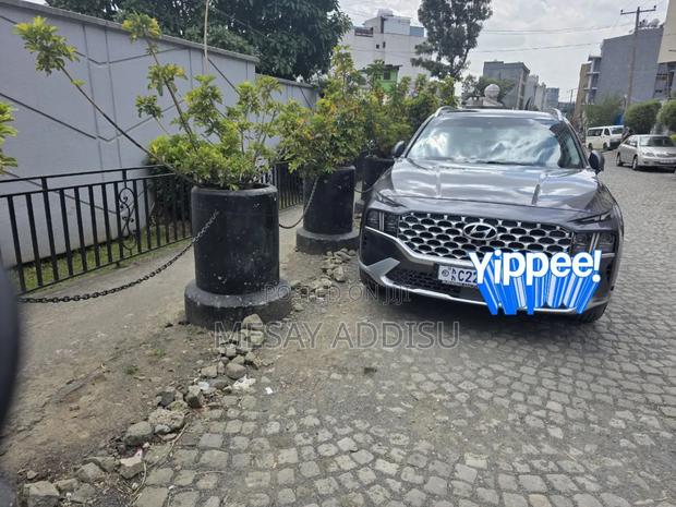 Hyundai Santa Fe Hybrid 2023 Gray