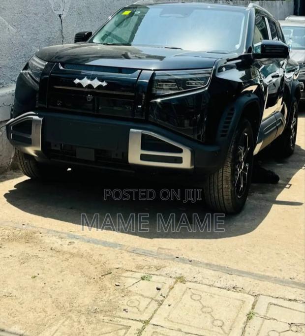 New BYD Leopard 3 2025 Black