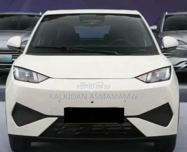 New BYD Seagull 2025 White