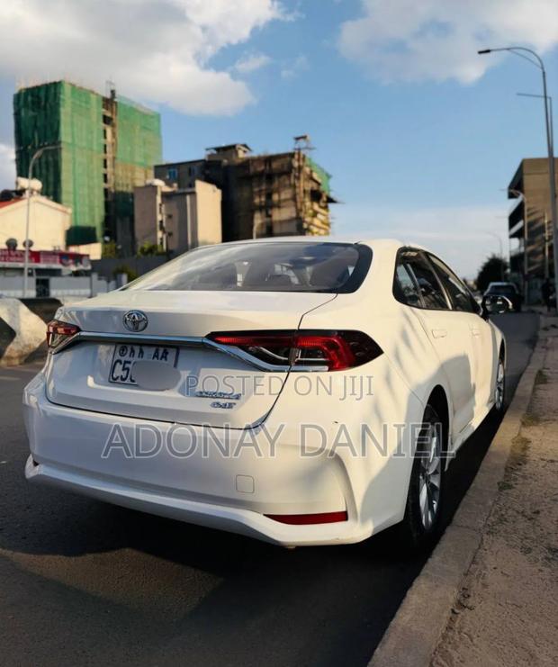 Toyota Corolla LE 2023 White