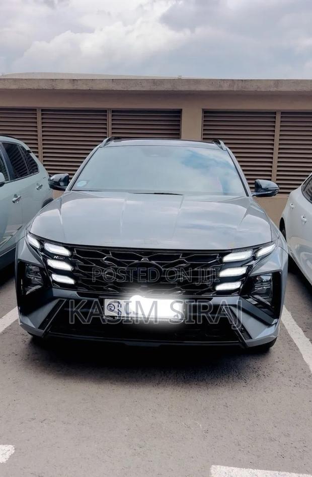Hyundai Tucson Limited 2024 Blue