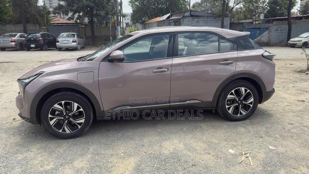 Hozon Neta U 2023 Pink