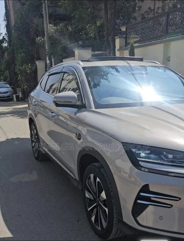 BYD Song Plus 2025 Gray