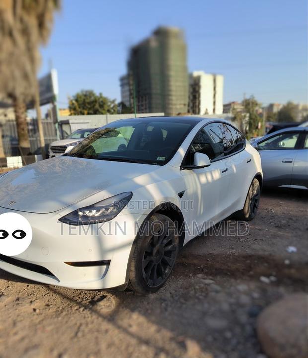 Tesla Model Y 2022 White