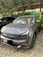Hozon Neta U 2022 Gray for sale