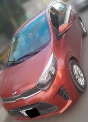 Kia Picanto 2020 Red for sale