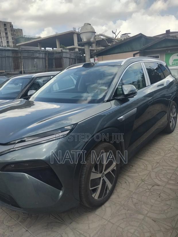 New BYD Tang DM-i 2025 Gray