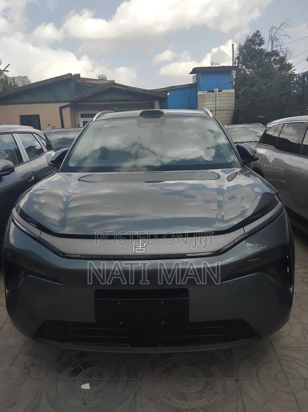 New BYD Tang DM-i 2025 Gray