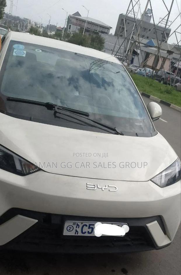 BYD Seagull 2023 Teal